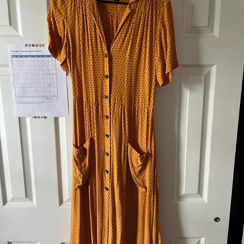 Urban outfitters button down midi dress